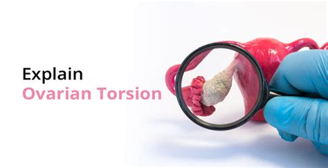 precautions for torsion test|ovarian cyst and torsion treatment.